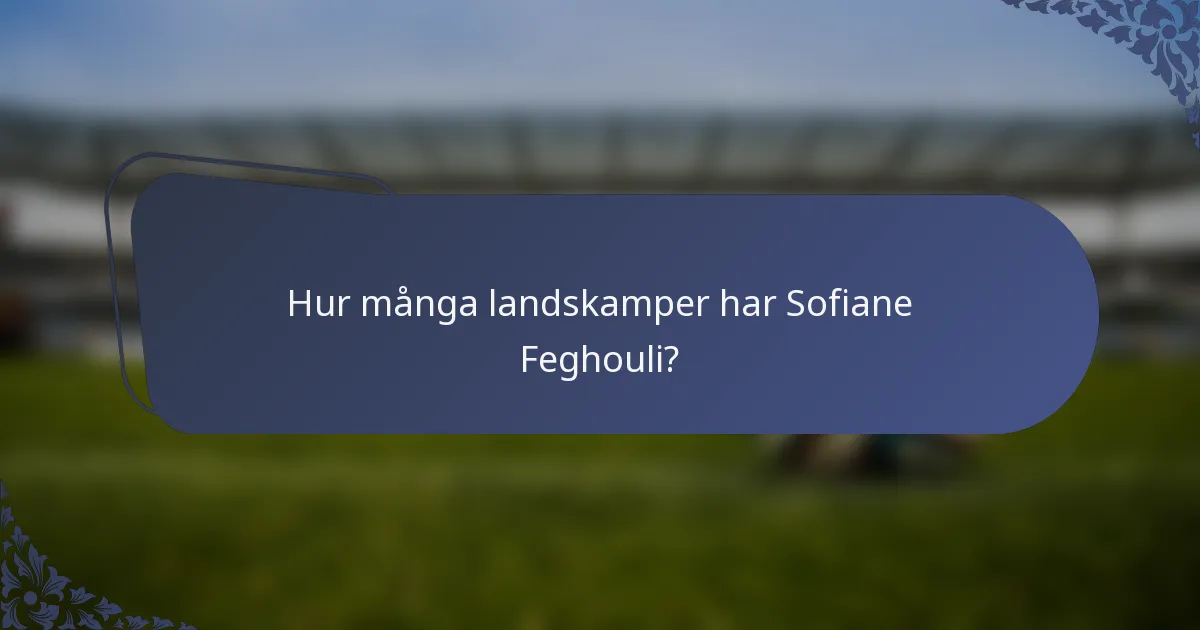 Hur många landskamper har Sofiane Feghouli?