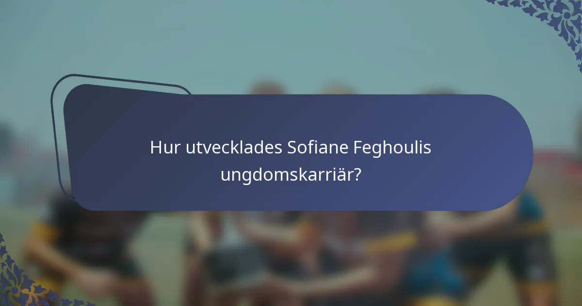 Hur utvecklades Sofiane Feghoulis ungdomskarriär?