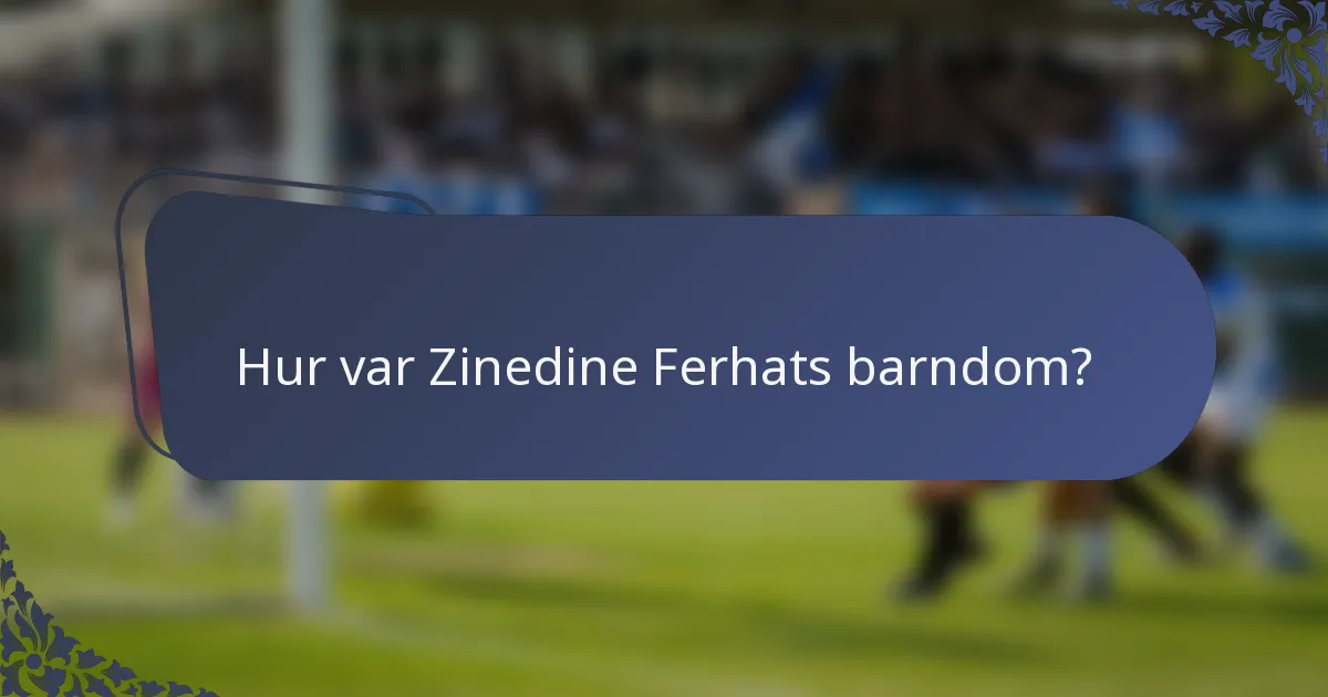 Hur var Zinedine Ferhats barndom?